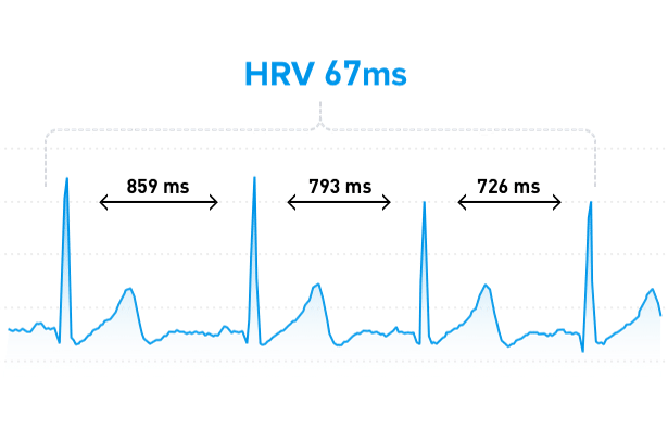HRV is variatie in hartslag